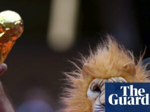 Football Daily | Animal instinct and maths boost Netherlands’ hopes of World Cup glory
