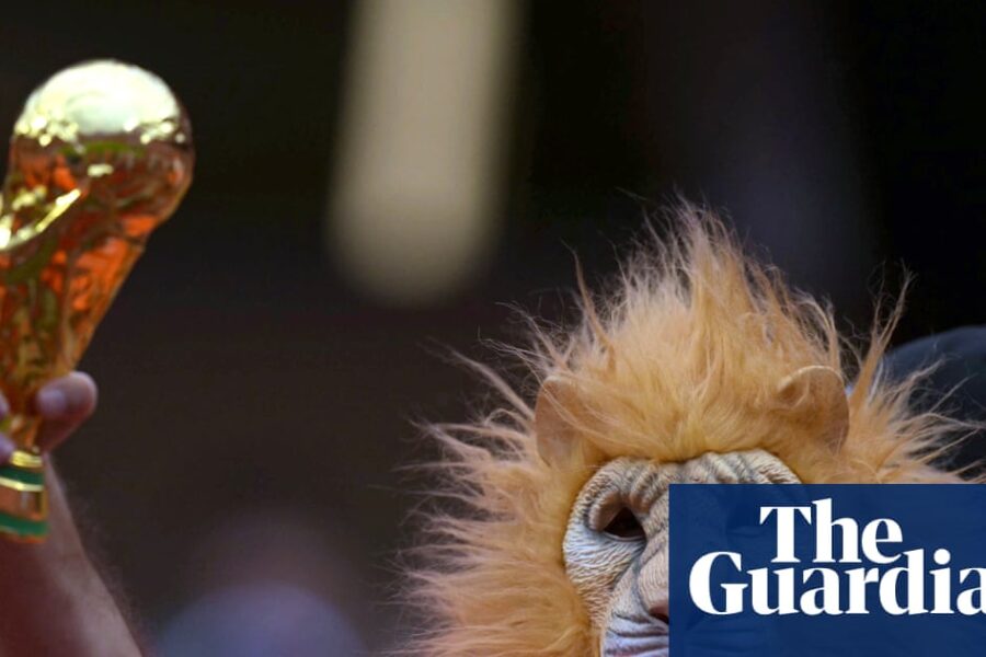 Football Daily | Animal instinct and maths boost Netherlands’ hopes of World Cup glory