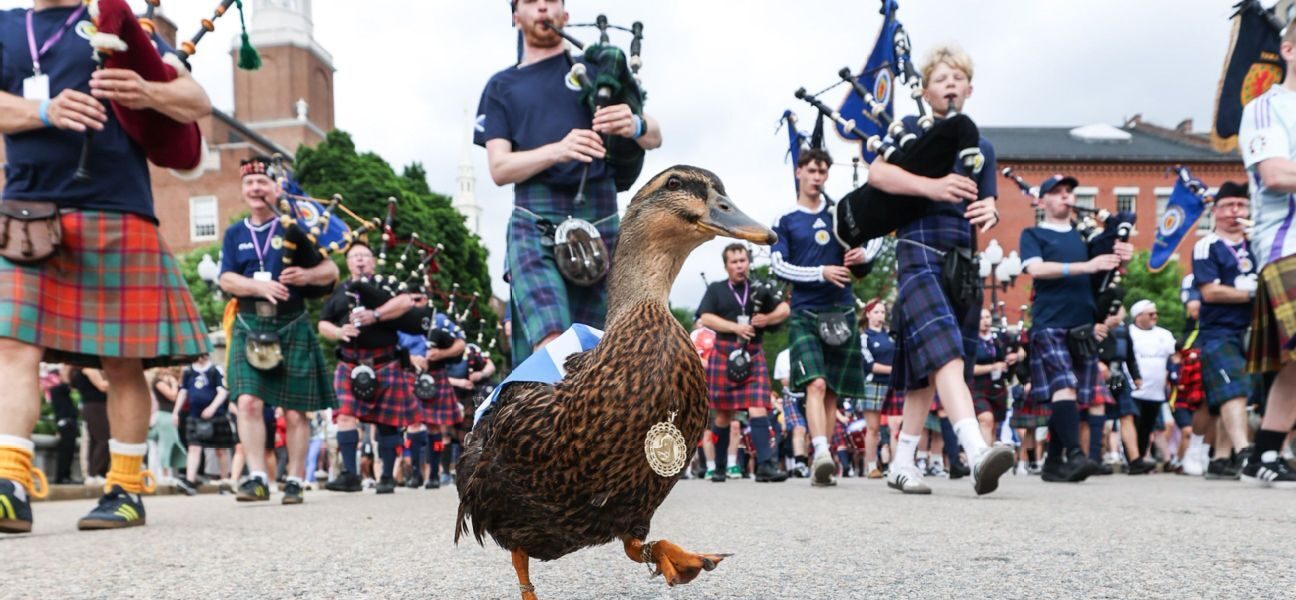 World Cup Daily: Meet Scotland superfan Donny the …
