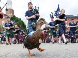 World Cup Daily: Meet Scotland superfan Donny the …