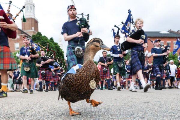 World Cup Daily: Meet Scotland superfan Donny the …