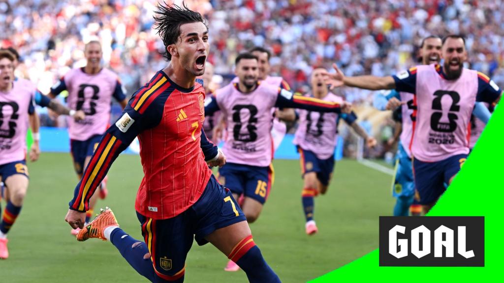 Spain’s Torres scores only goal of World Cup final