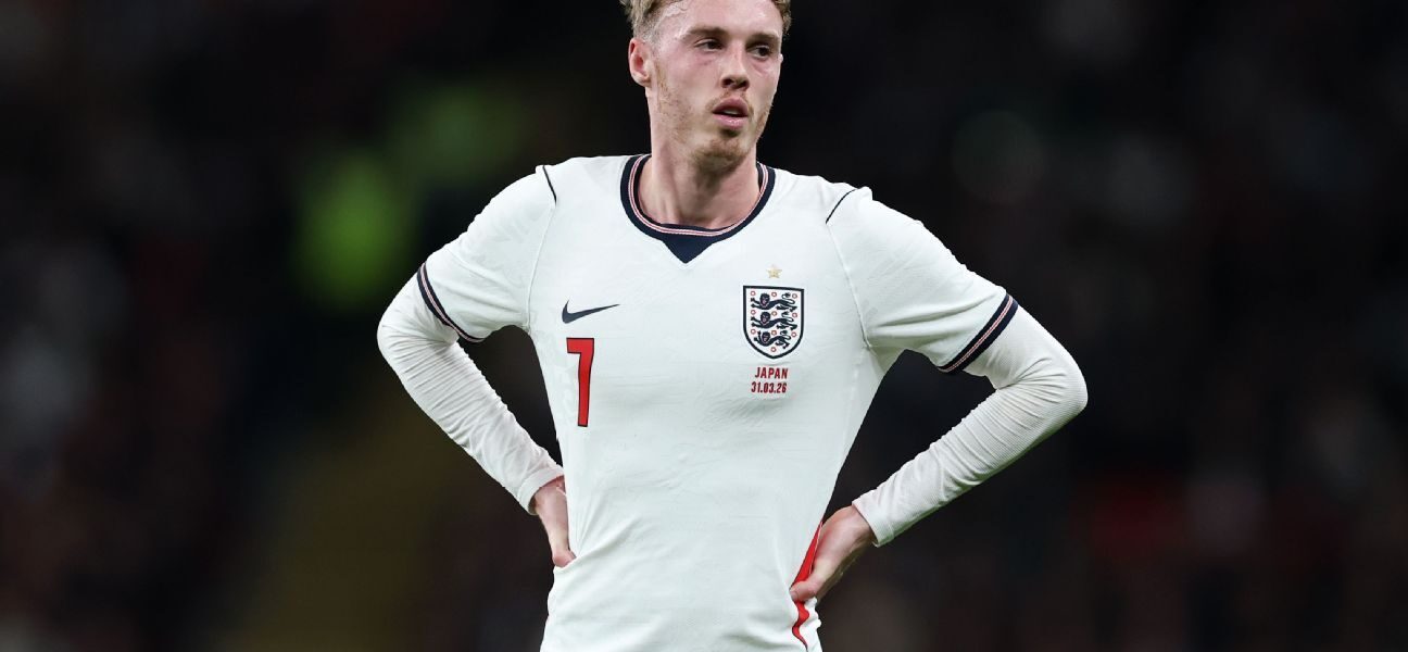 ‘I fell asleep’: Palmer on watching England at WC