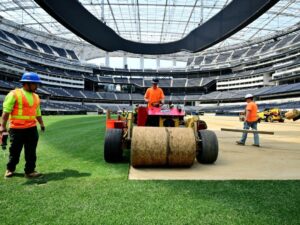 NFL players renew push for grass on heels of WC