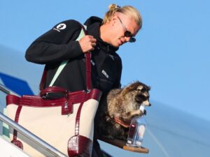 Haaland, Norway return home to heroes’ welcome