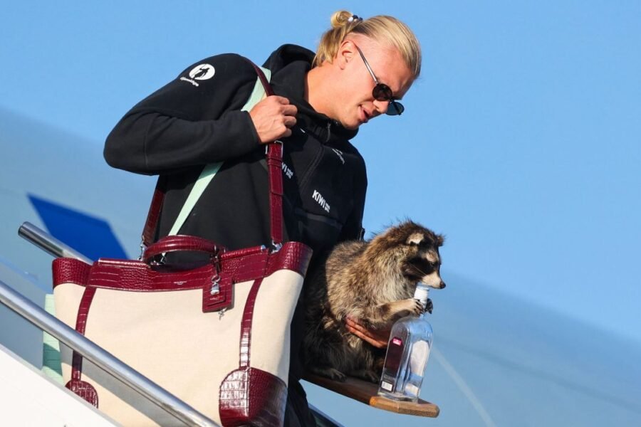 Haaland, Norway return home to heroes' welcome
