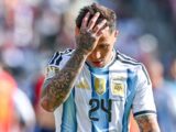 Fernández breaks silence after WCup heartbreak
