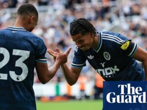 Premier League 2026-27 preview No 17: Newcastle