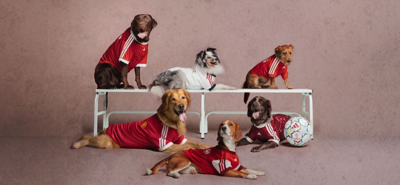 Footy for Fido: Adidas drops dog kits for 2026-27