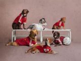 Footy for Fido: Adidas drops dog kits for 2026-27
