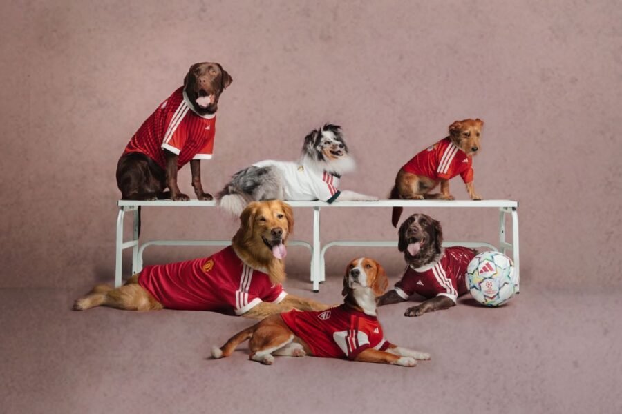 Footy for Fido: Adidas drops dog kits for 2026-27