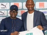 Senegal job an ‘absolute dream’ for new boss Vieira