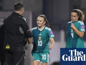 ‘Like a movie script’: Michael McArdle backs Northern Ireland to make history